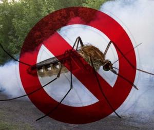 Biologická regulácia komárov 1